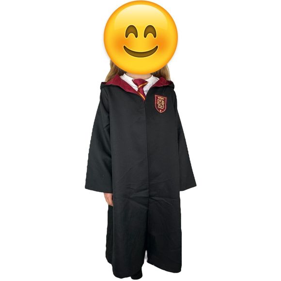 Pottery Barn Kids Harry Potter Gryffindor Halloween Costume sz 7-8 2pc - Picture 1 of 9